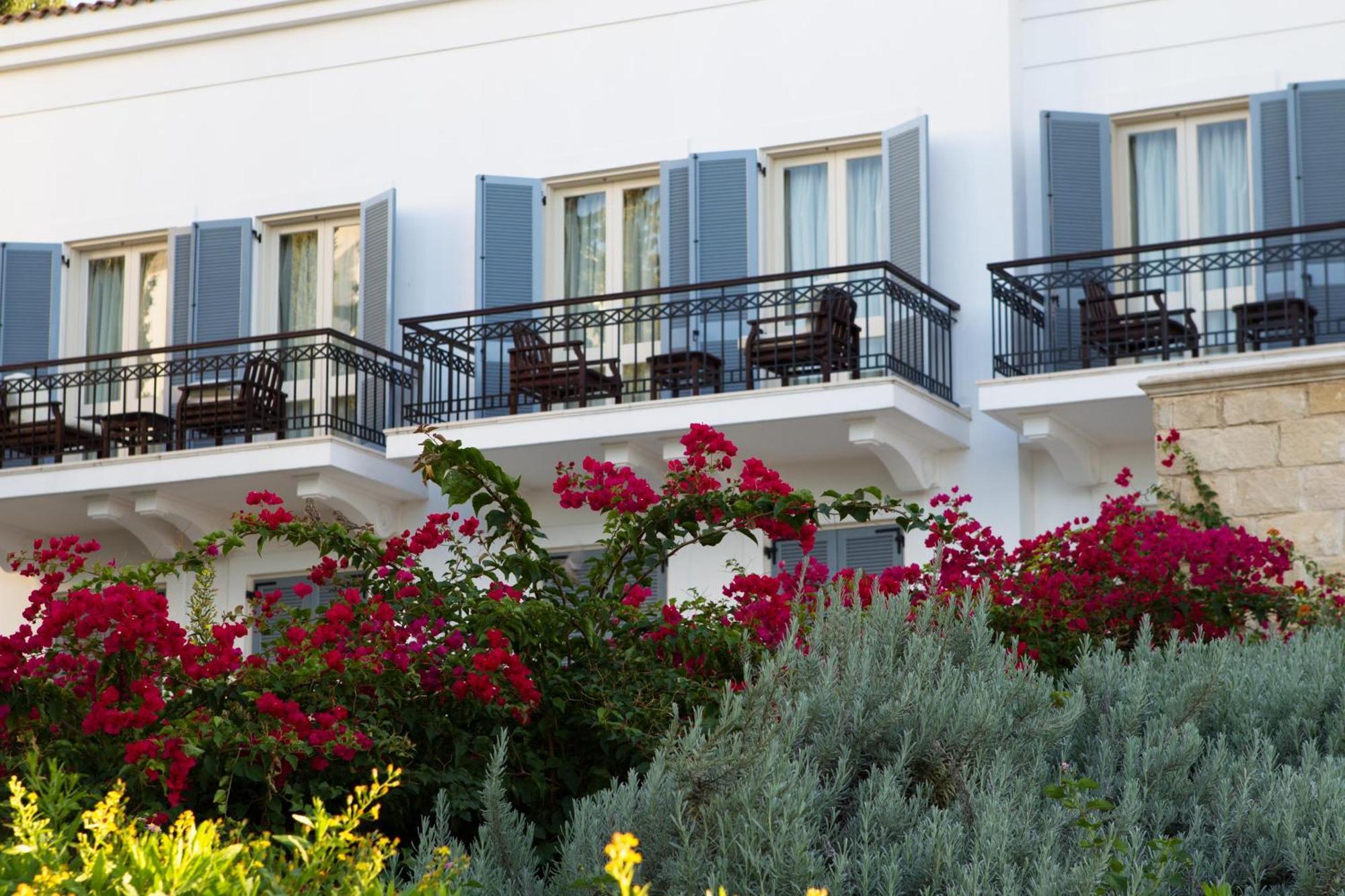 Anassa Hotel Polis Værelse billede